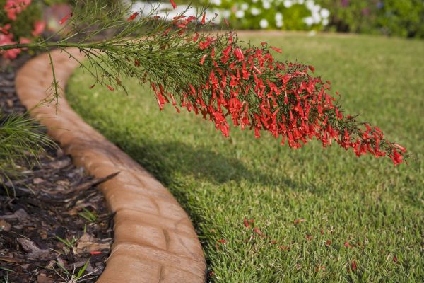 Brick Edging in Greenfield